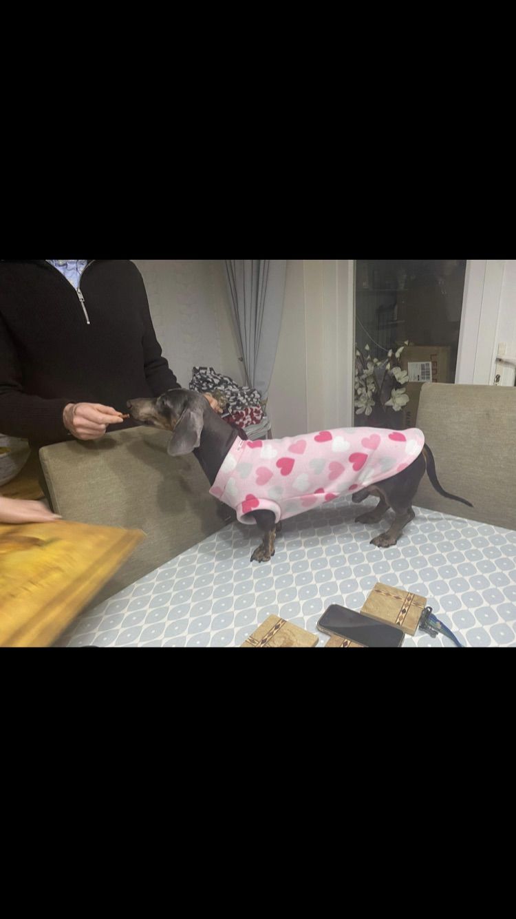 Customer photo review of Hearts on Baby Pink Anti Pill Polar Fleece Fabric