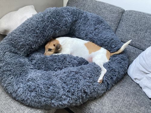 Customer photo review of Puppery Hundebett Wolke 7 - Das Original
