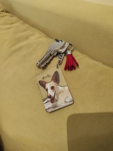 Customer photo review of Μπρελόκ με το Δικό σας Κατοικίδιο