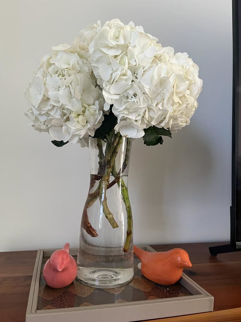 Customer photo review of Hydrangea