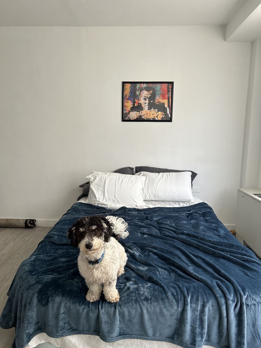 Customer photo review of Wolf Of Wall Street Canvas Poster