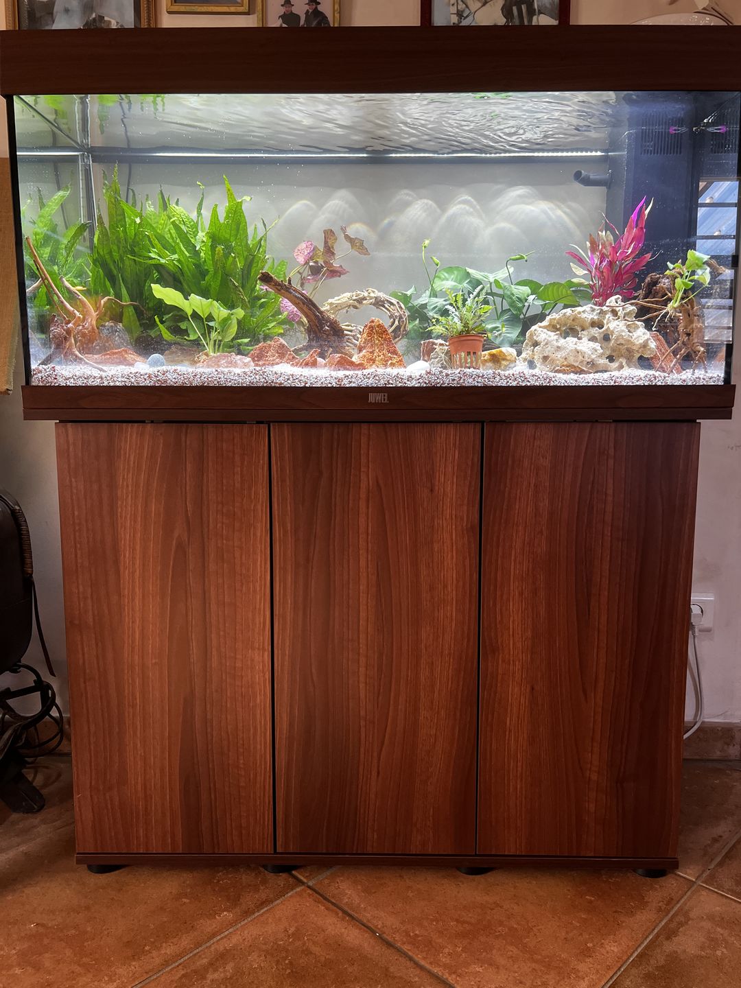 Customer photo review of Aquarium Rio 180 LED Brun Équipé JUWEL - 180L