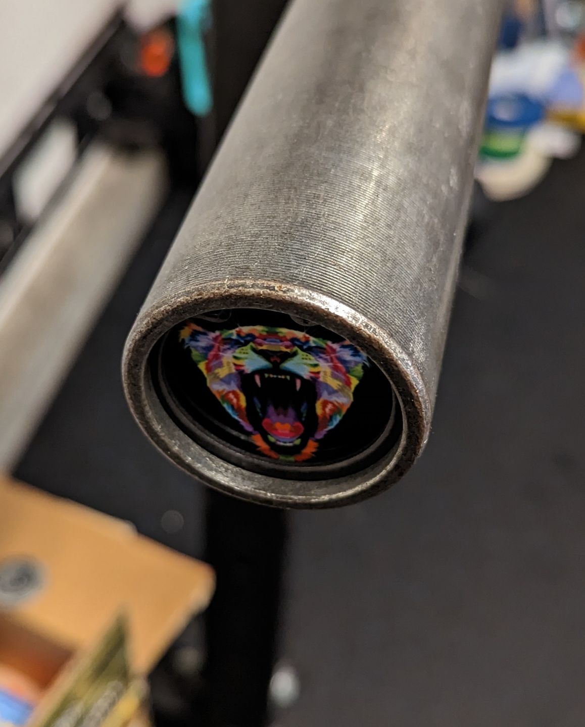 Customer photo review of The Lioness  Spirit Barbell End Caps