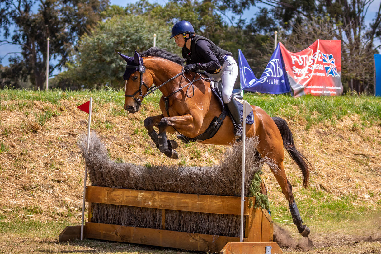Customer photo review of Micklem Competition Reins