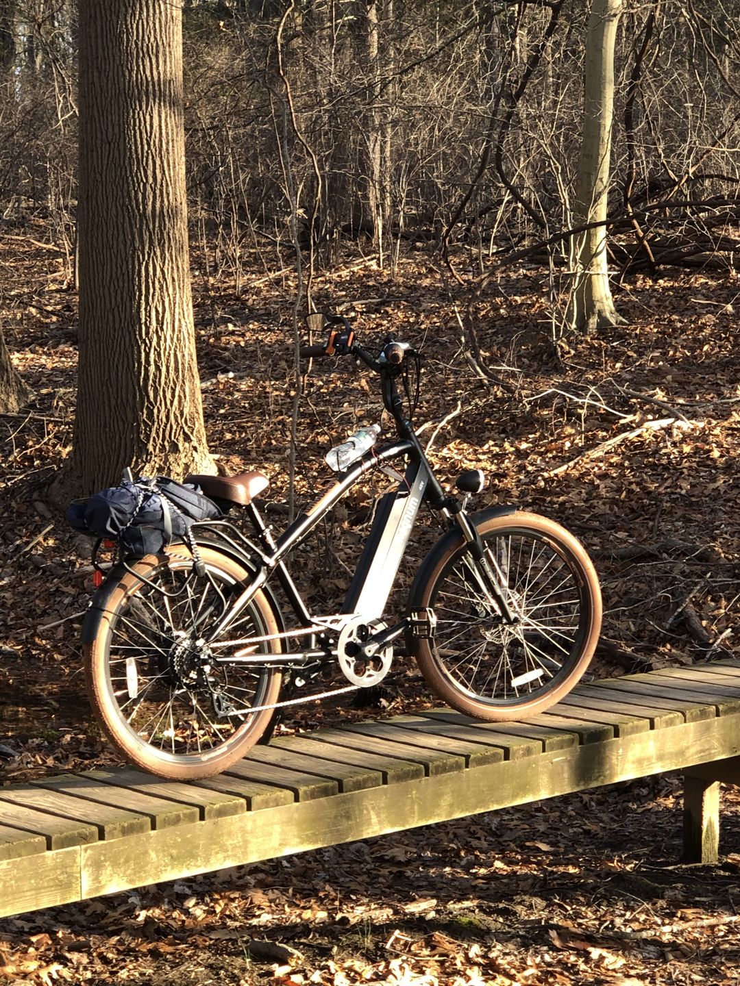 Customer photo review of Cruiser 2.0