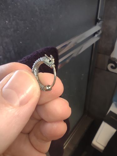 Customer photo review of Ouroboros Earrings