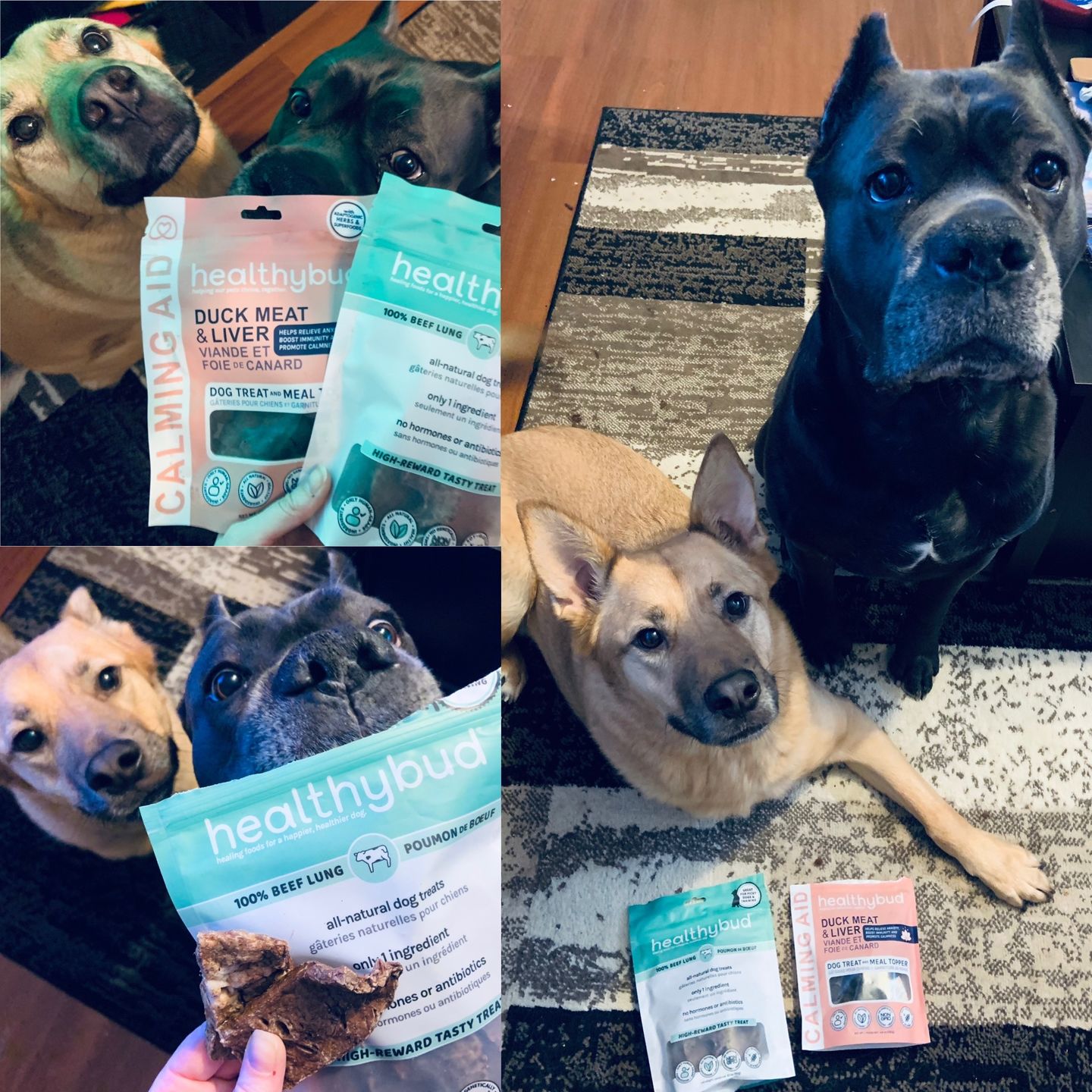 Customer photo review of Beef Lung Wafers