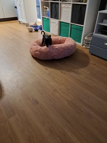 Customer photo review of Puppery Hundebett Wolke 7 - Das Original