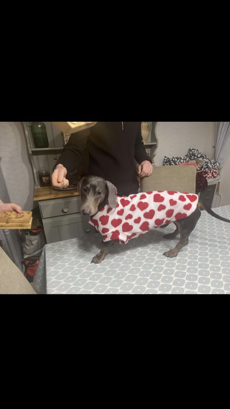 Customer photo review of All Over Hearts Anti Pill Polar Fleece Fabric