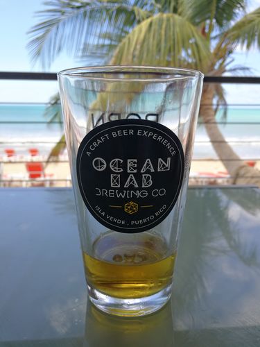 Customer photo review of HopDiver