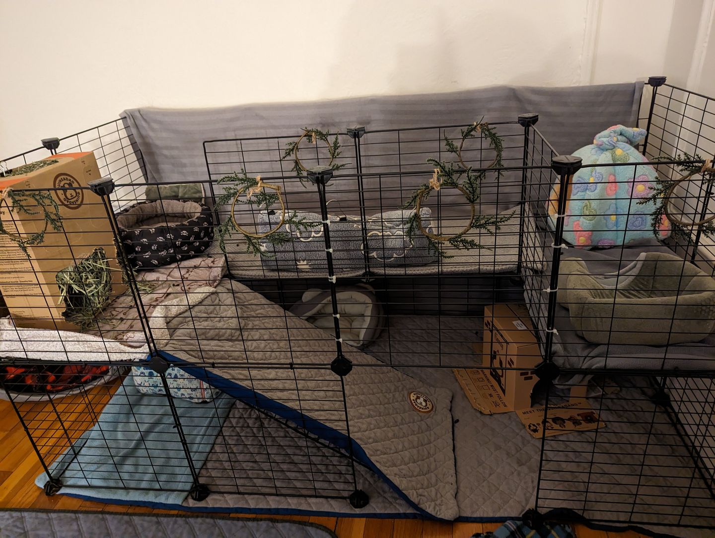 Customer photo review of GuineaDad Liner - Guinea Pig Fleece Liner No Pocket