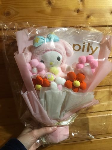 Customer photo review of Mini Sanrio Plush Bouquet