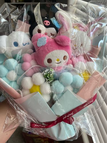 Customer photo review of Mini Sanrio Plush Bouquet