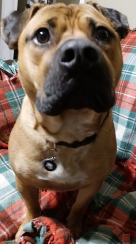 Customer photo review of Black