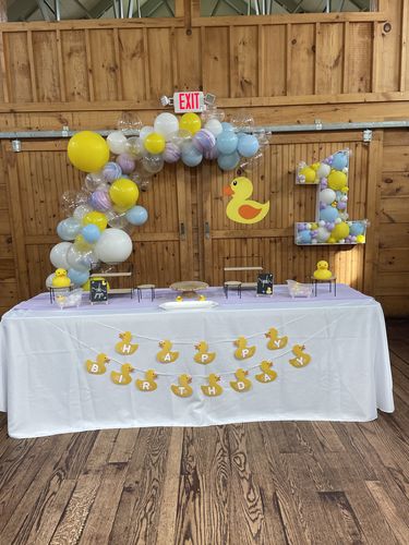 Customer photo review of Create Your Own Color Mix - DIY Balloon Garland Kit