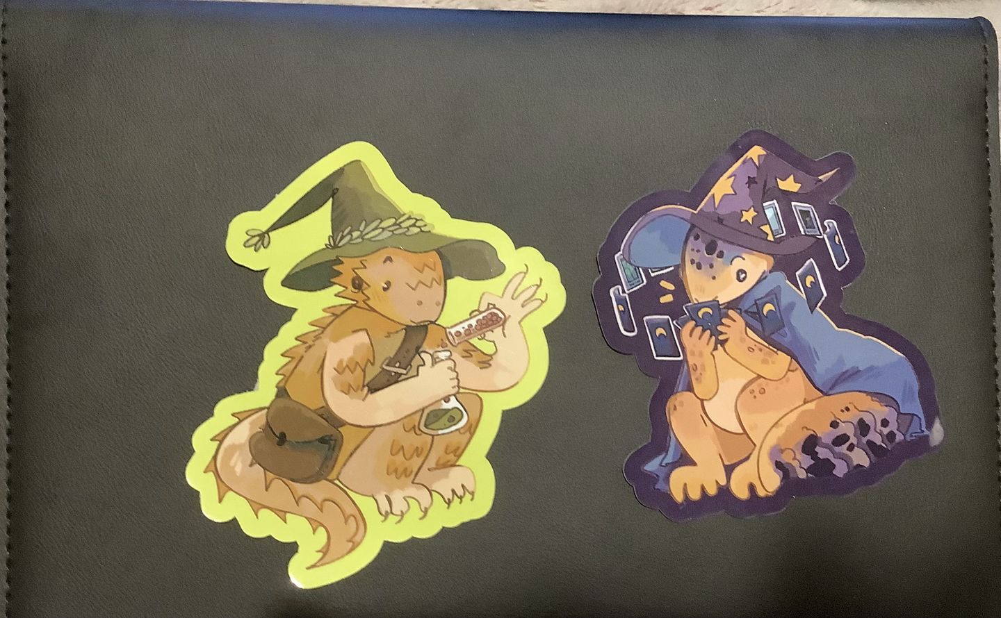 Customer photo review of Lizard Wizard Stickers!