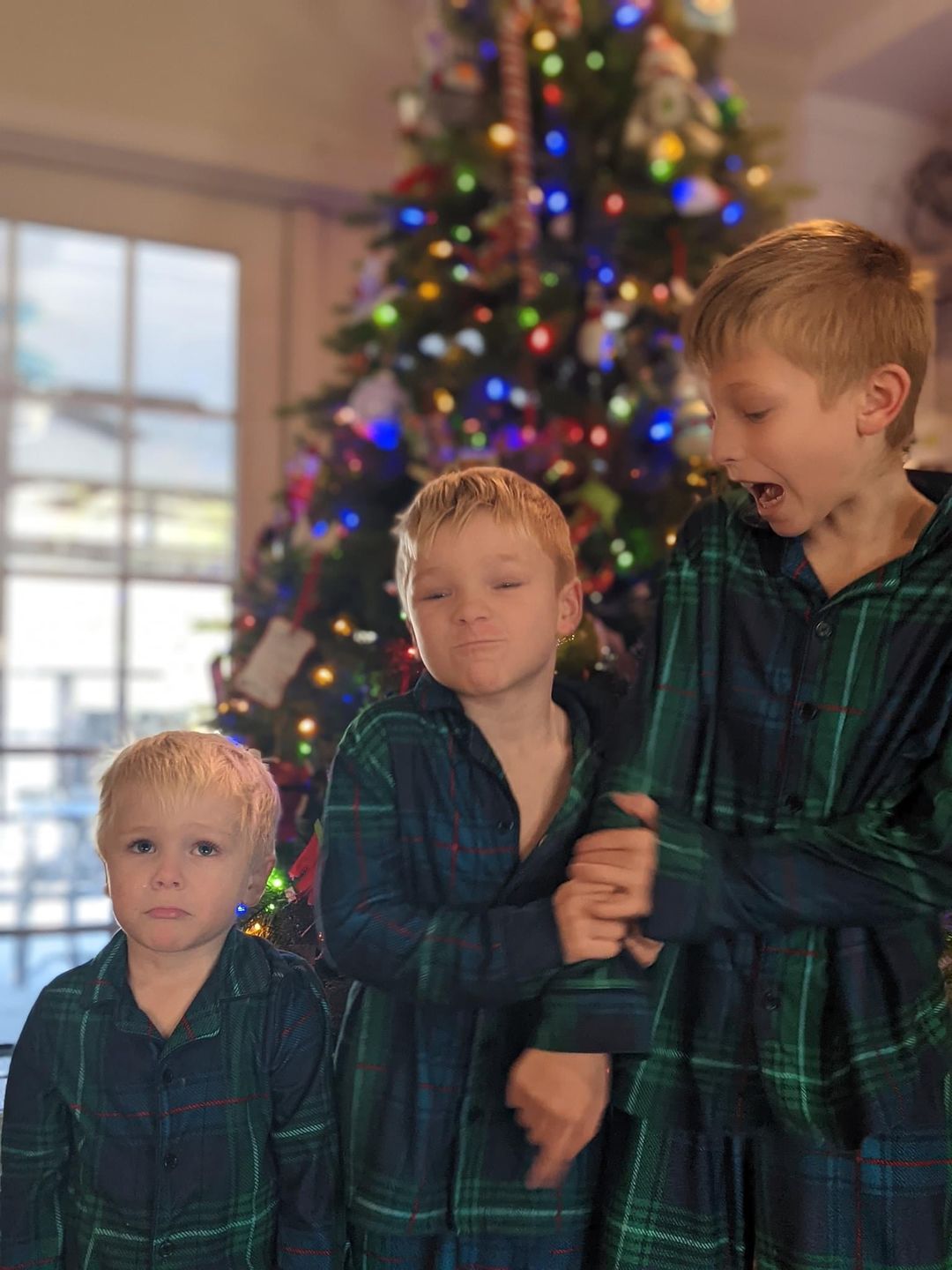 Customer photo review of 3.5 x 5 Wooden Ornament