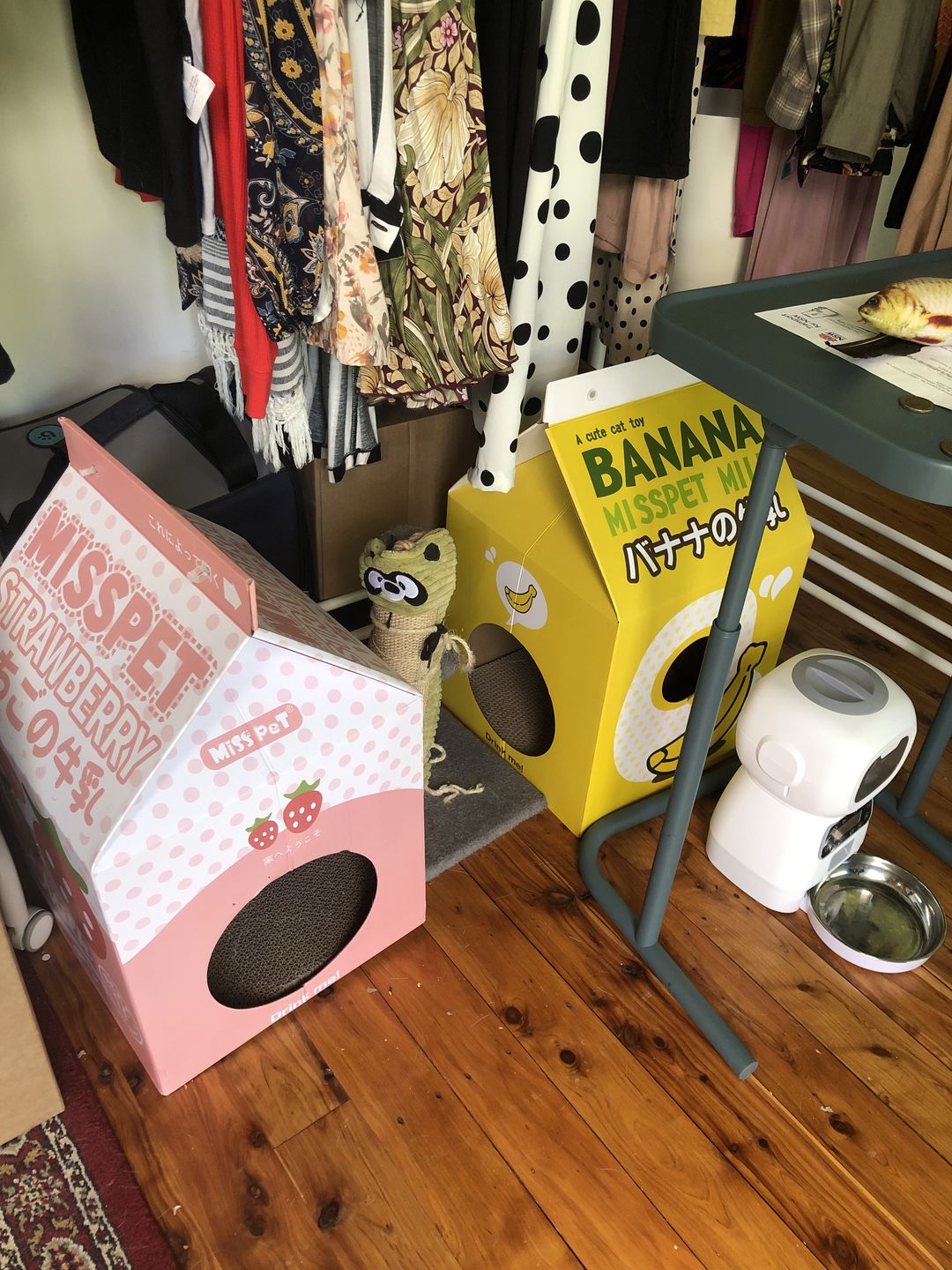 Customer photo review of Misspet Milk Box Cat Scratcher and Nest