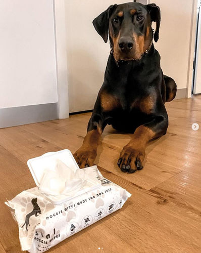 Customer photo review of Premium Doggie Wipes - Natural Skin & Coat Dog Wipes (80 Wipes)