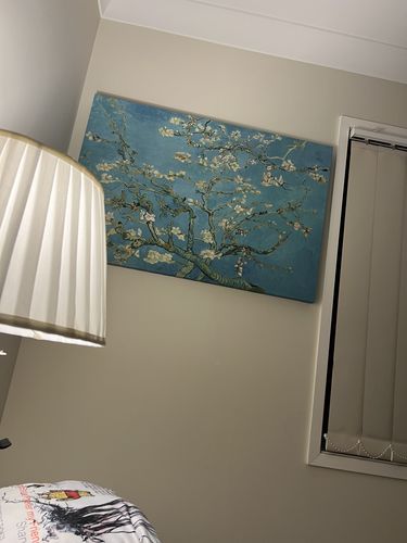 Customer photo review of Branches with Almond Blossom, 1890 by Van Gogh