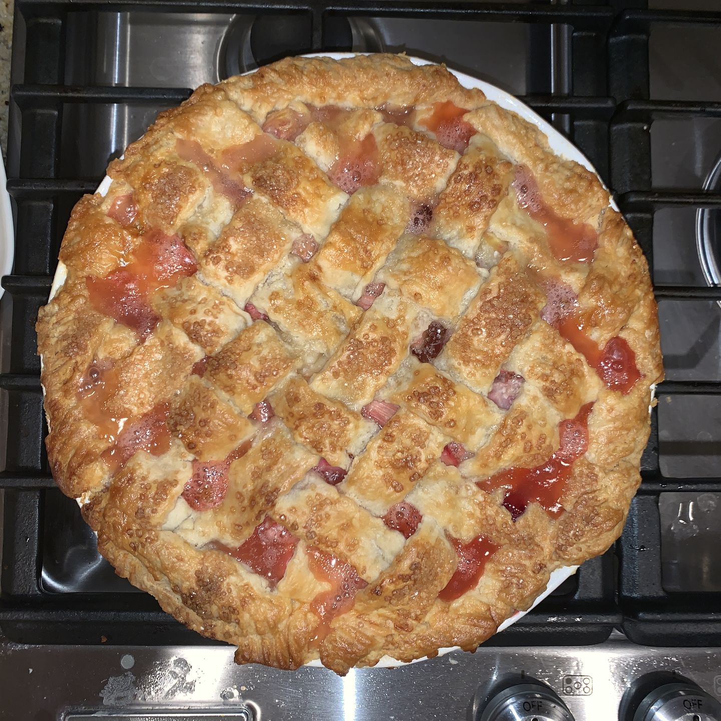Customer photo review of Organic Leaf Lard (14 oz)