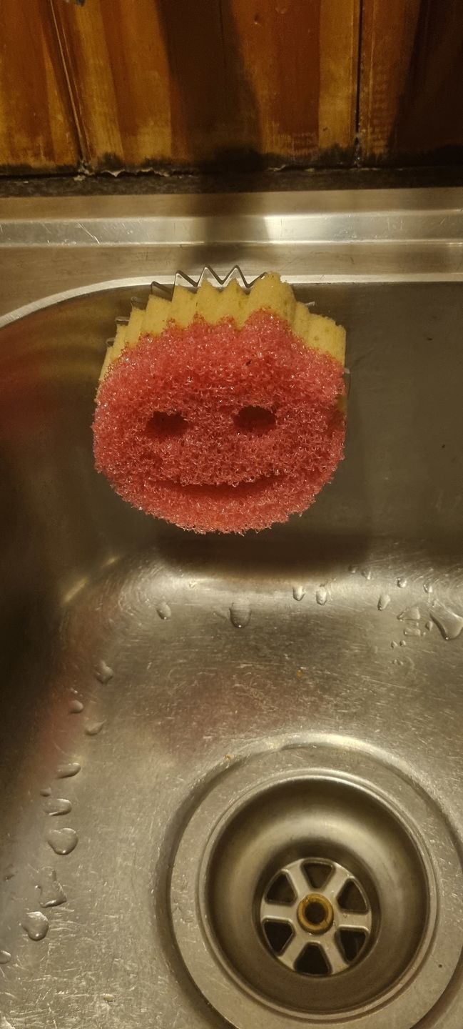 Customer photo review of Scrub Daddy Caddy