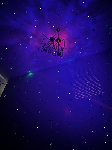 Customer photo review of Astronaut Galaxy Projector
