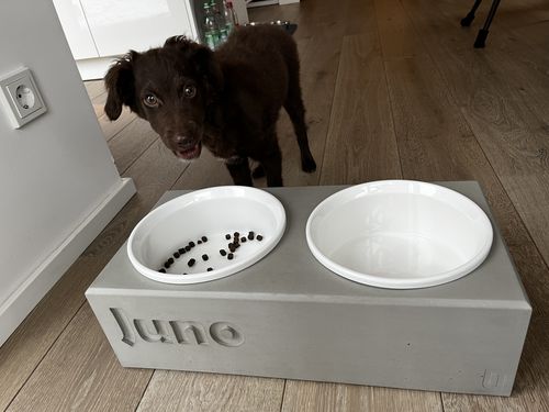 Customer photo review of Futterstation PATERA DUO Personalisiert