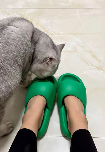 Customer photo review of Foam Street Slippers