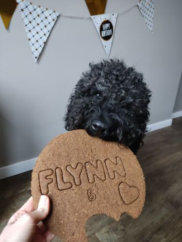undefined review of Mega koek voor de verjaardag van jouw hond image 1 out of 1