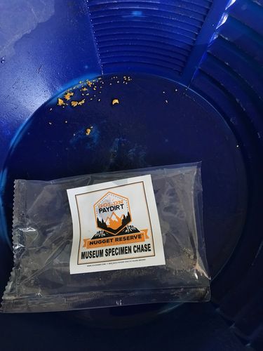 Customer photo review of Nugget Reserve 'MUSEUM SPECIMEN CHASE' - Gold Panning Paydirt Concentrate