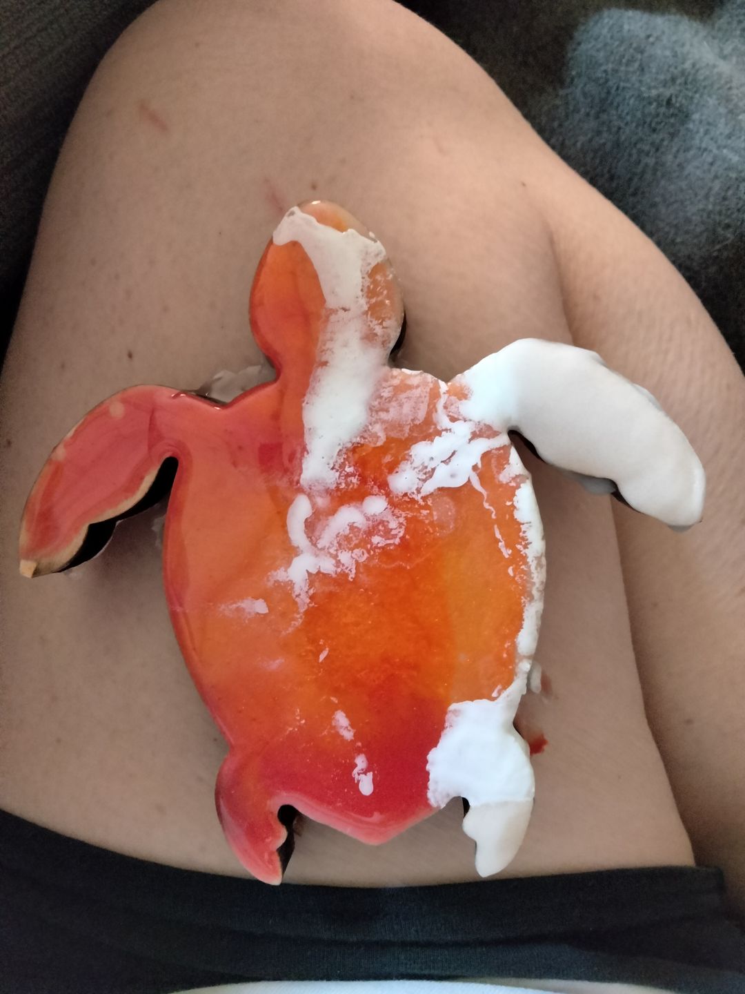 Customer photo review of Unfinished Wood Turtle Shape - Craft - up to 36" DIY