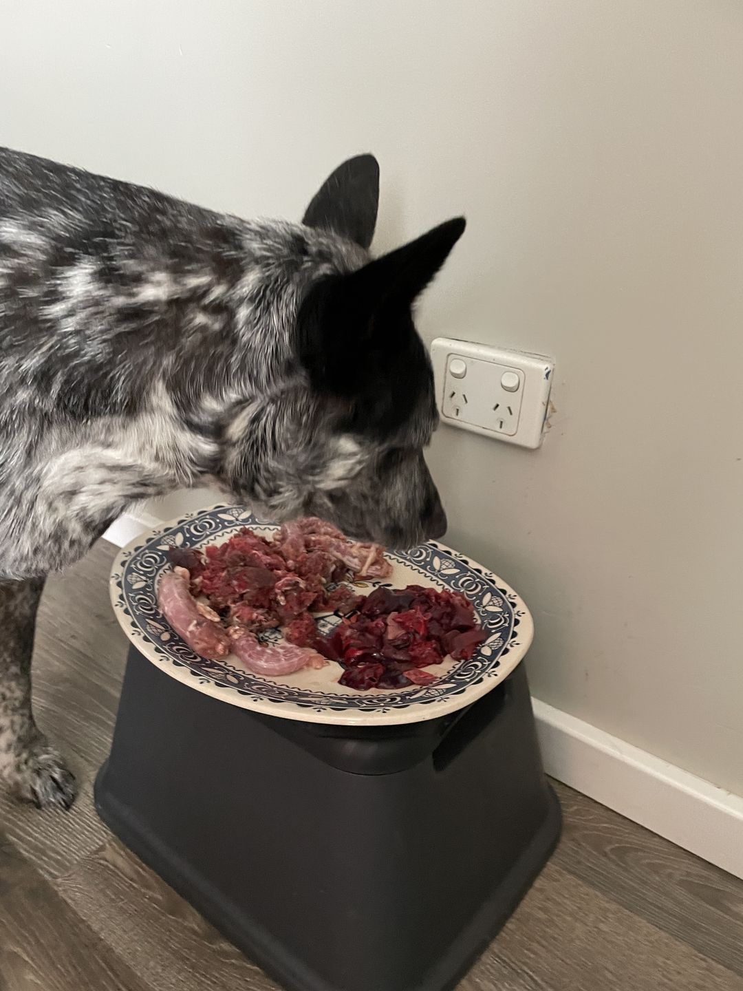 Customer photo review of Primal Venison Organ Mix (500g)