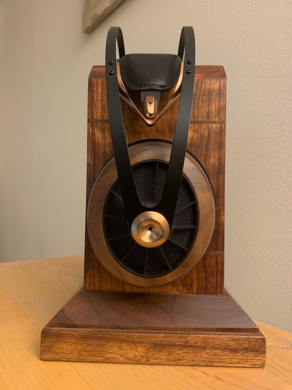 Customer photo review of Meze Audio 109 PRO Headphones