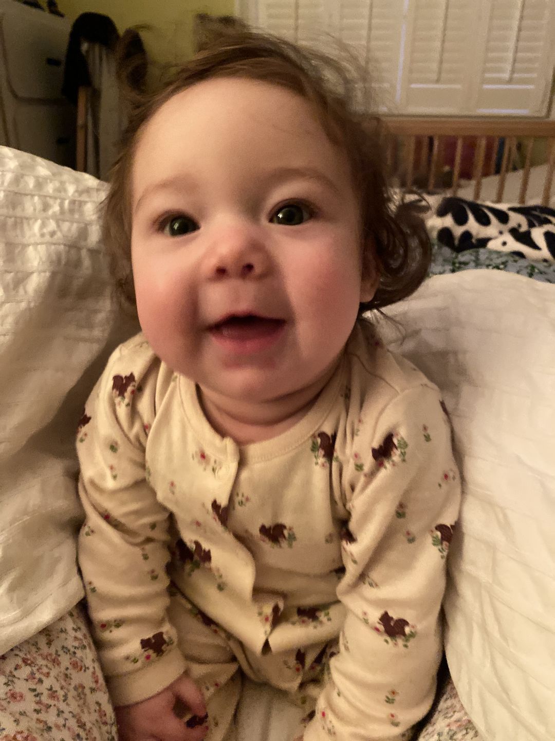 Customer photo review of Autumn Squirrel Organic Babygrow