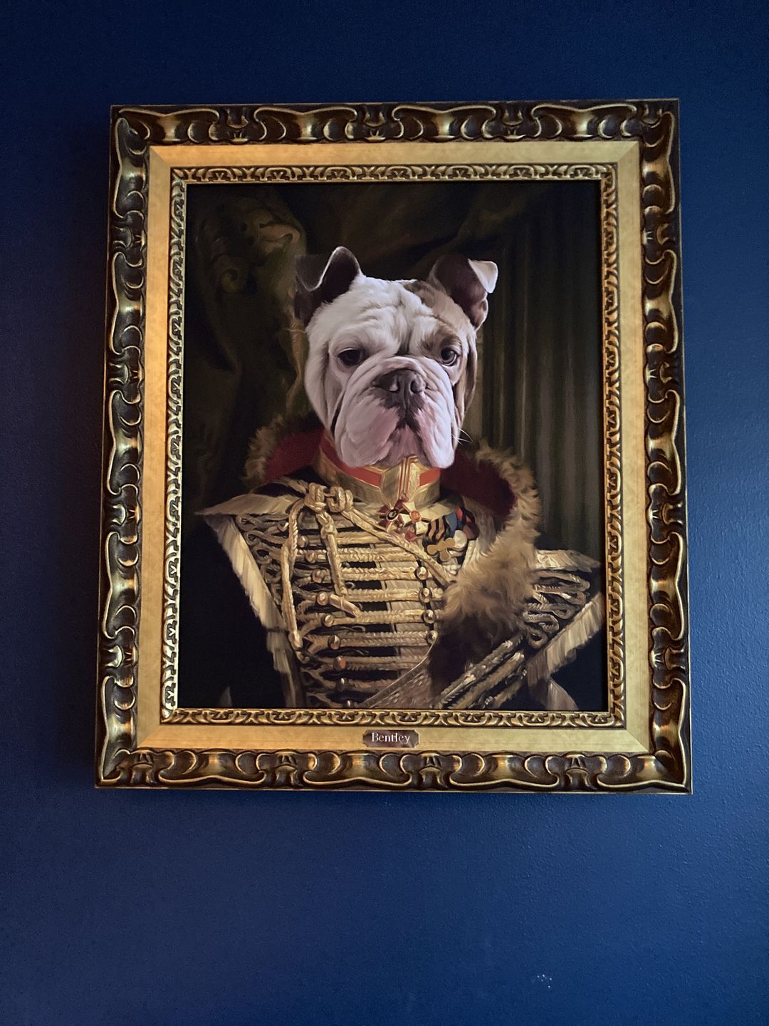 Customer photo review of The Colonel: Custom Pet Canvas