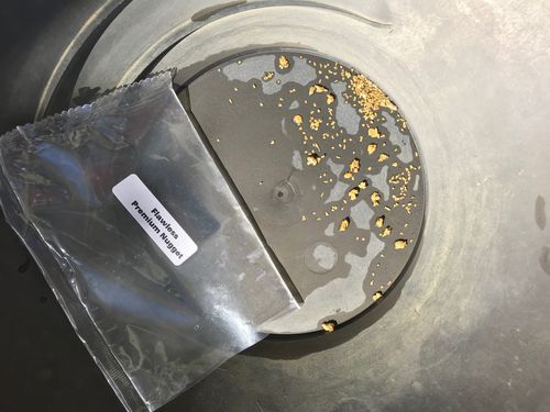 Customer photo review of *TROGO* Flawless '$5,000 GOLD NUGGET DISCOVERY' - Gold Panning Paydirt