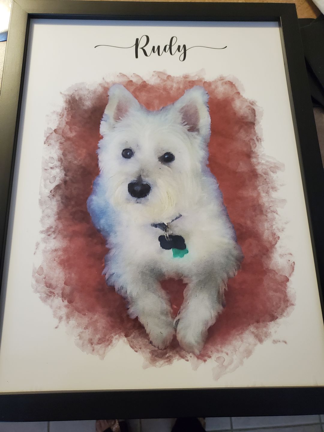 Customer photo review of Custom Pet Portrait