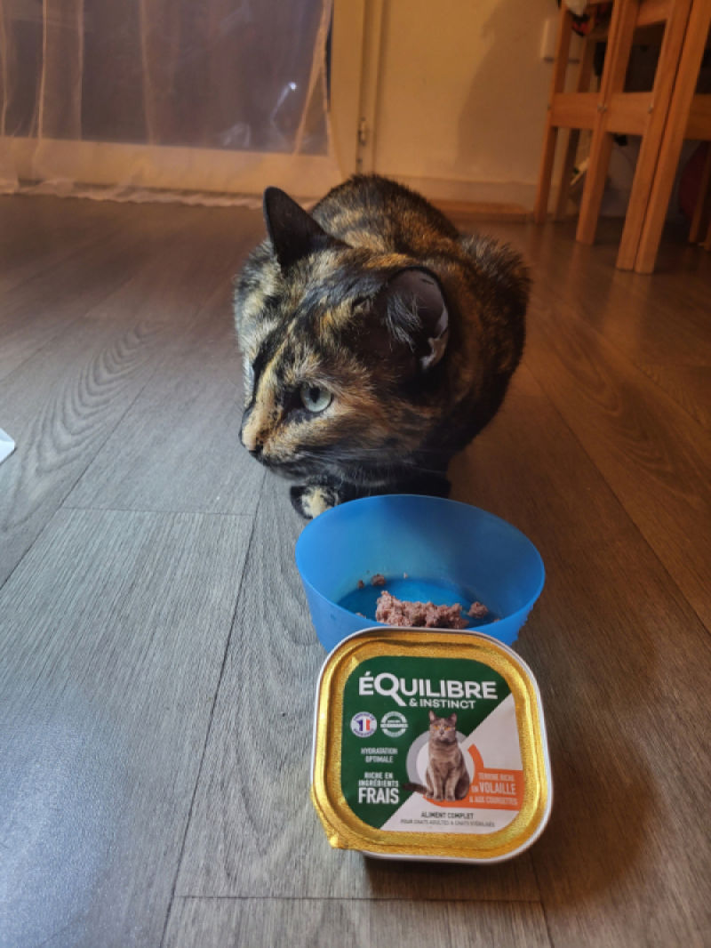 Customer photo review of Pâtées riches en volaille & aux courgettes (chat stérilisé et chat adulte)