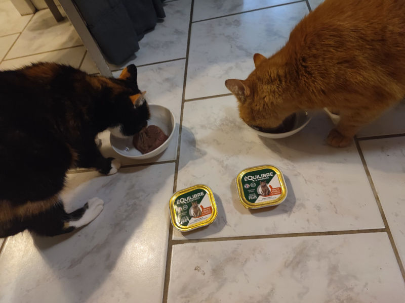 Customer photo review of Pâtées riches en volaille & aux courgettes (chat stérilisé et chat adulte)