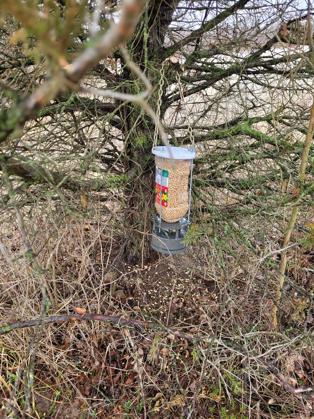 Customer photo review of Game Feeder Kit