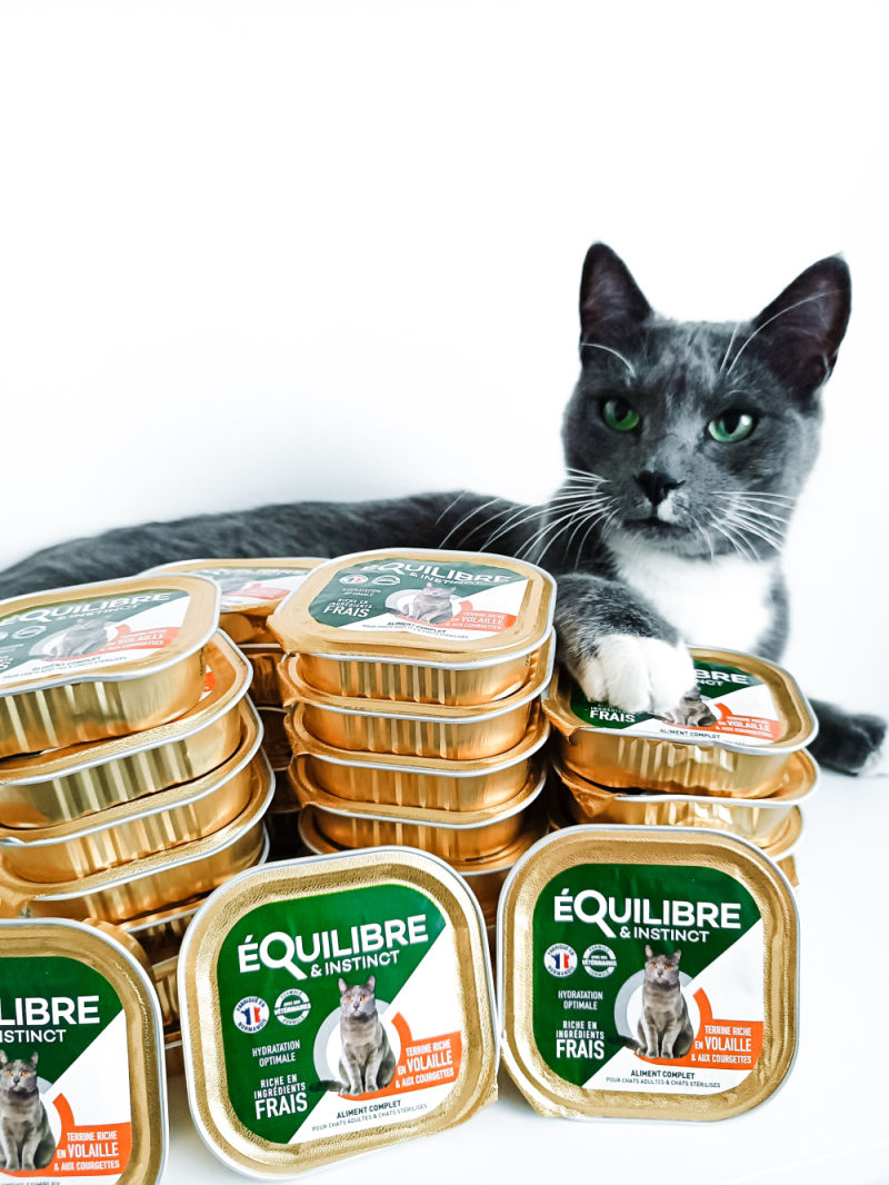 Customer photo review of Pâtées riches en volaille & aux courgettes (chat stérilisé et chat adulte)
