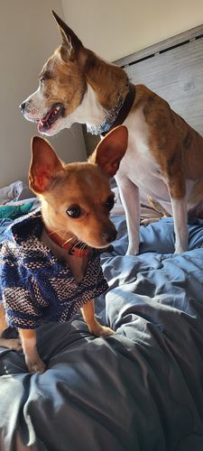 Customer photo review of Playa Poncho - Surprise Color