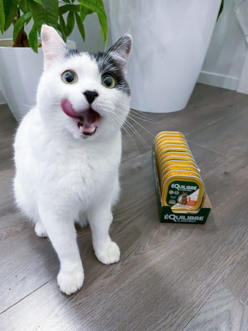 Customer photo review of Pâtées riches en volaille & aux courgettes (chat stérilisé et chat adulte)