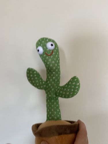 Customer photo review of Crazy LED Dancing Repeating Cactus