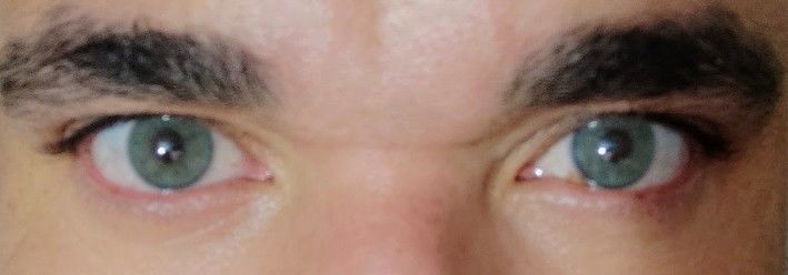 Customer photo review of Siesta Black Cloud Green