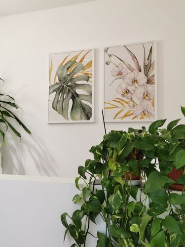Customer photo review of Orchidea Tropicale