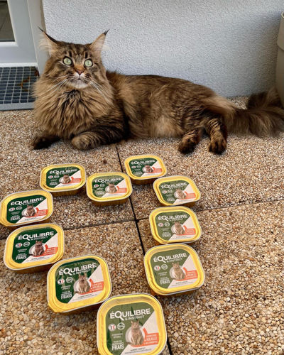 Customer photo review of Pâtées riches en volaille & aux courgettes (chat stérilisé et chat adulte)