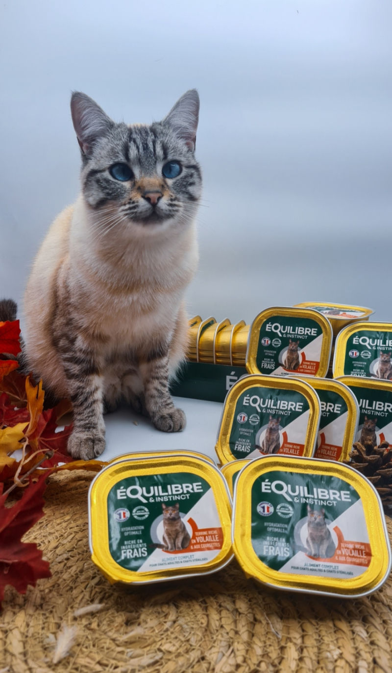 Customer photo review of Pâtées riches en volaille & aux courgettes (chat stérilisé et chat adulte)