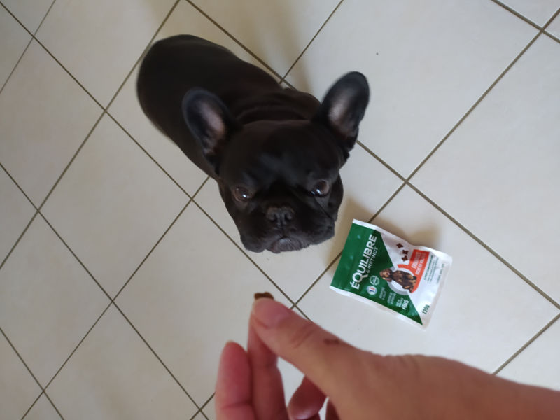 Customer photo review of Friandises riches en volaille (chien adulte)